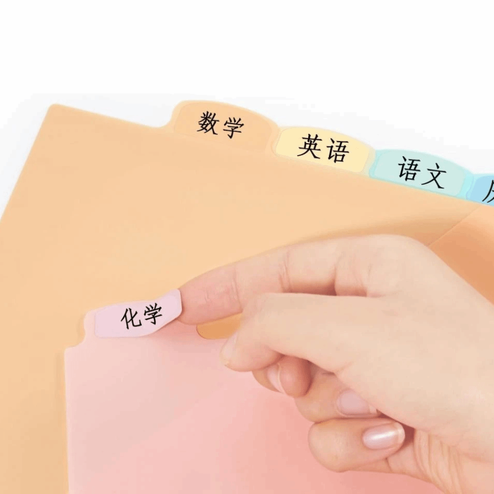 8 Divisórias Duráveis A4 Paste - Tab Divider A4 avaliação e preço